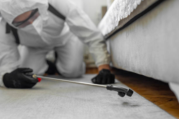 Professional Bed Bug Control technician working in Ware County County, GA
